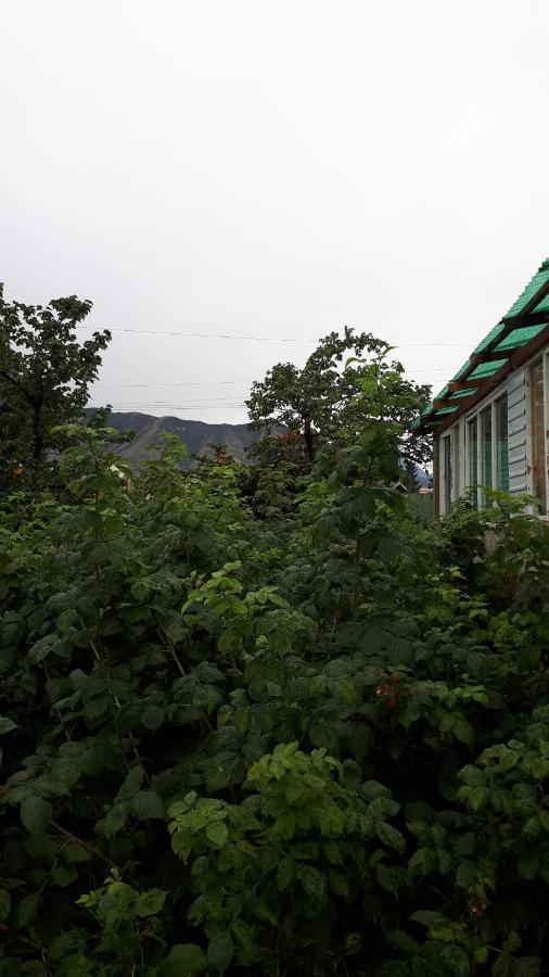 Nurgul Hotel Bokonbayevo Exterior foto
